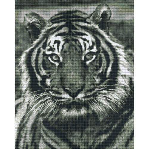 Tiger 836024